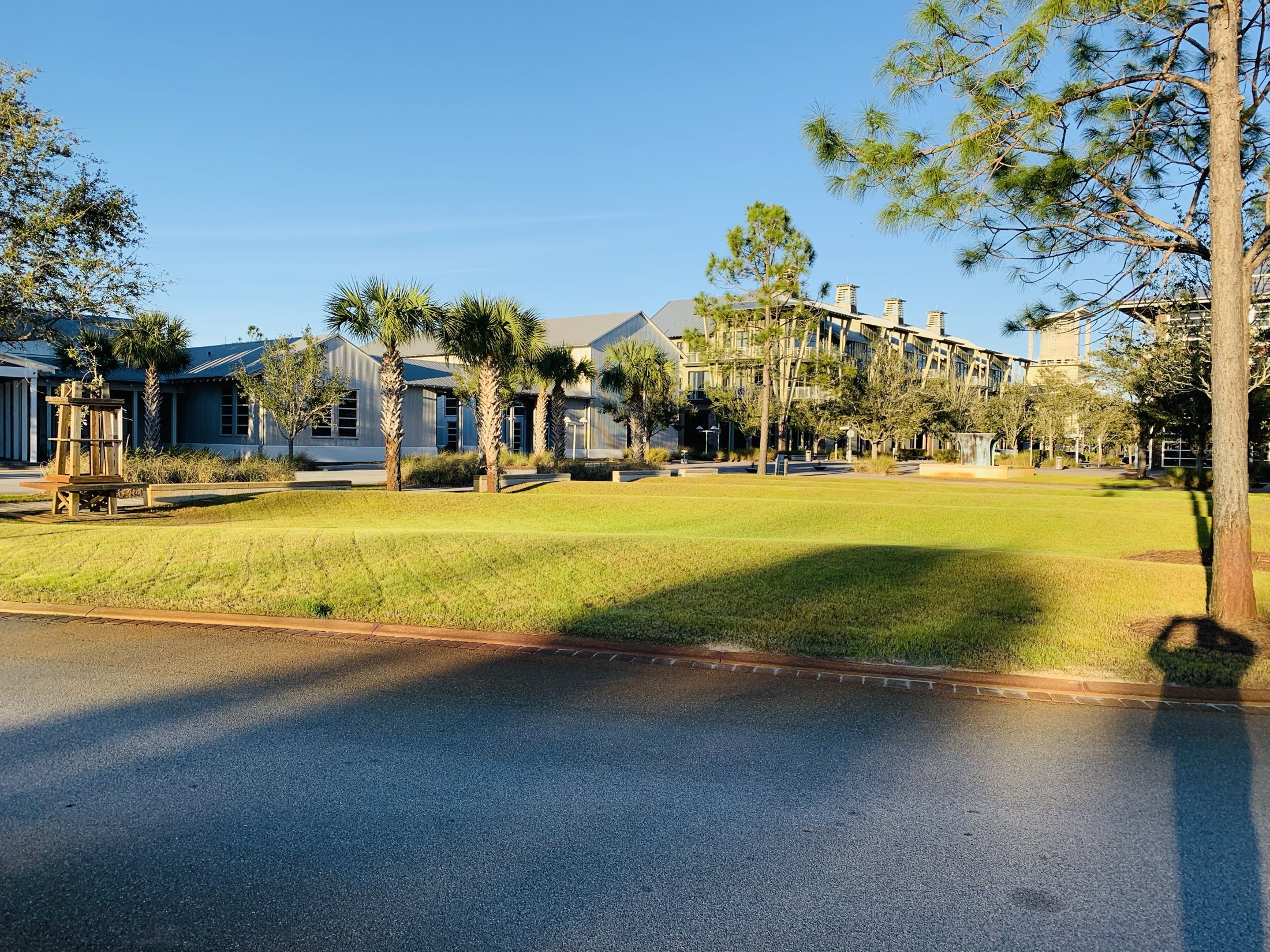Commercial town center at golden hour — manicured lawn, palms, and maintained commercial landscaping